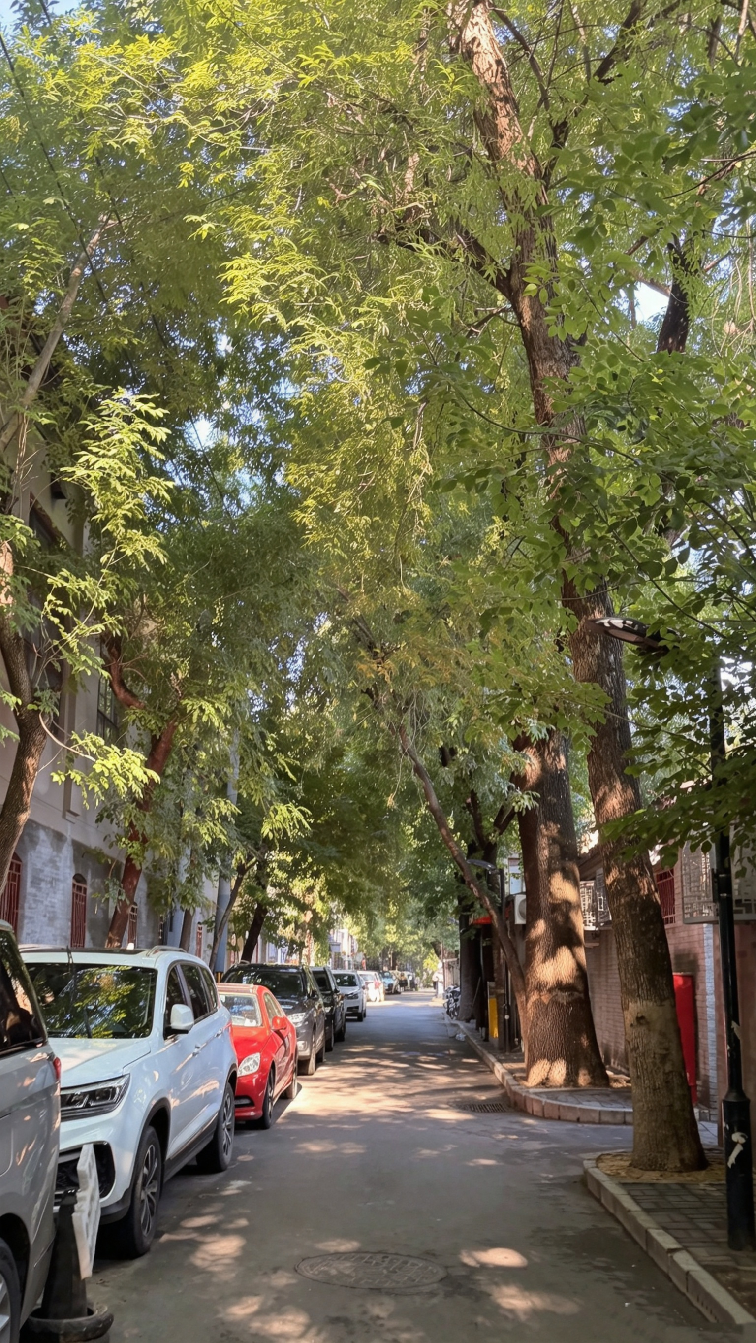 分享图片 