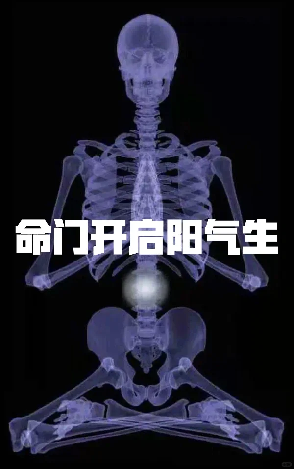 命门开启阳气生