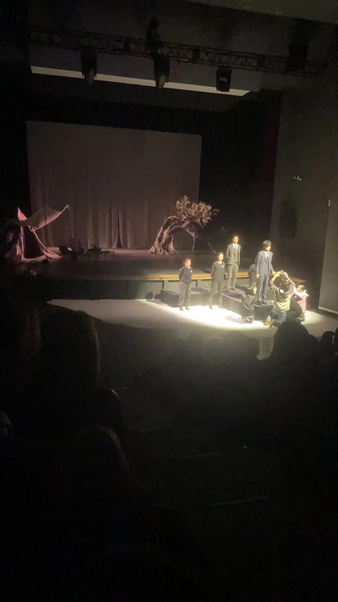 看《牺牲》话剧。这部改编自欧里庇得斯经典悲剧《伊菲革涅亚在奥利斯》，由英国著名剧