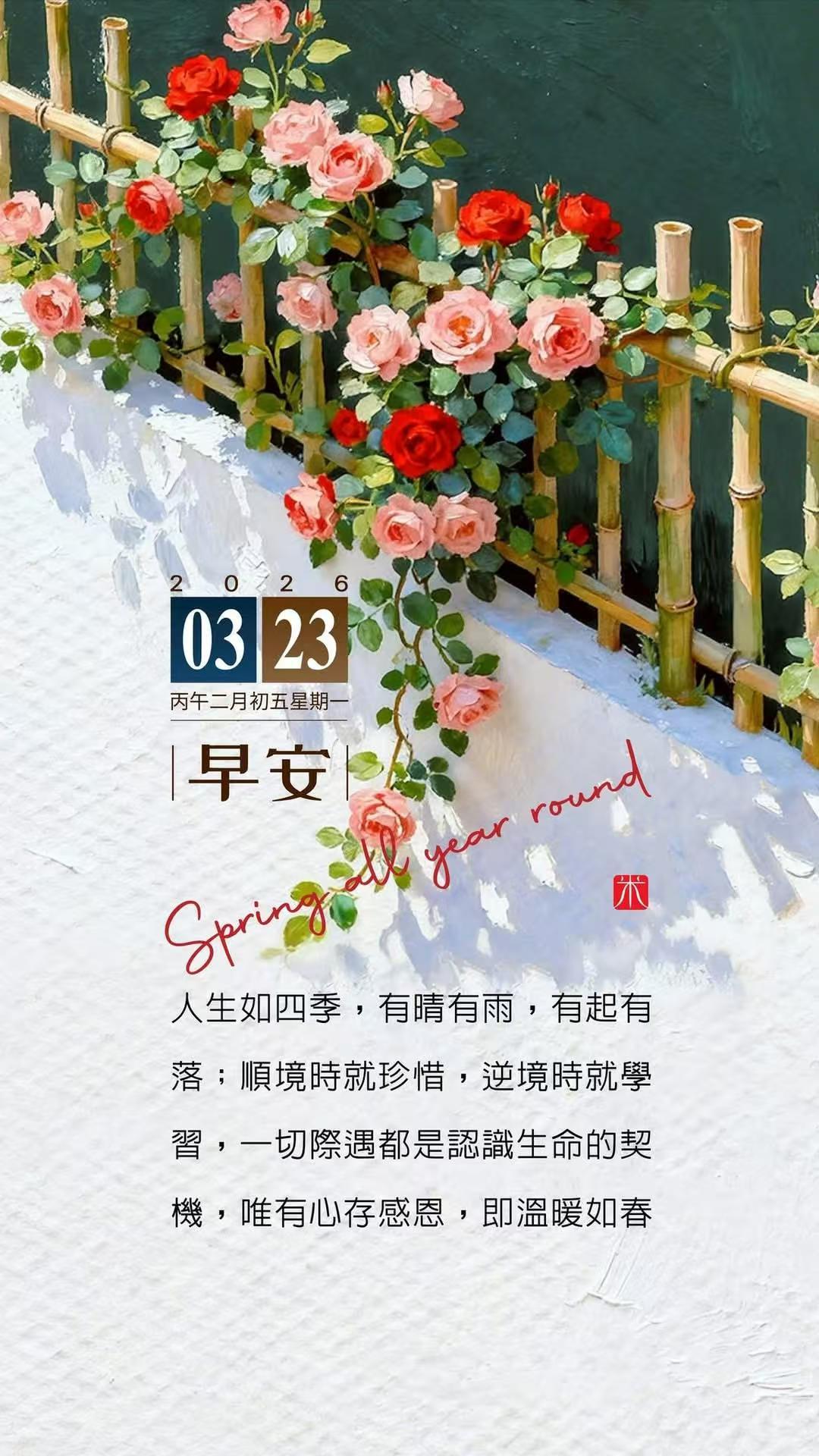 注意用脑卫生 头一条睡眠第一位就没做好，后面那几条就甭说了，今儿就做个大扫除，逐