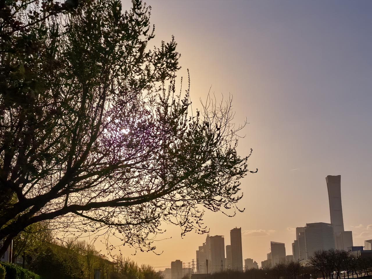 张雪峰走了，41岁，心源性猝死，倒在公司跑步机上，可压垮他的，究竟是什么？

最