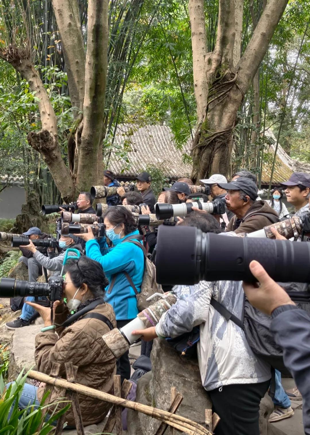 想问一下，大爷大妈们到底在拍啥啊？可不可以发给我看一下？