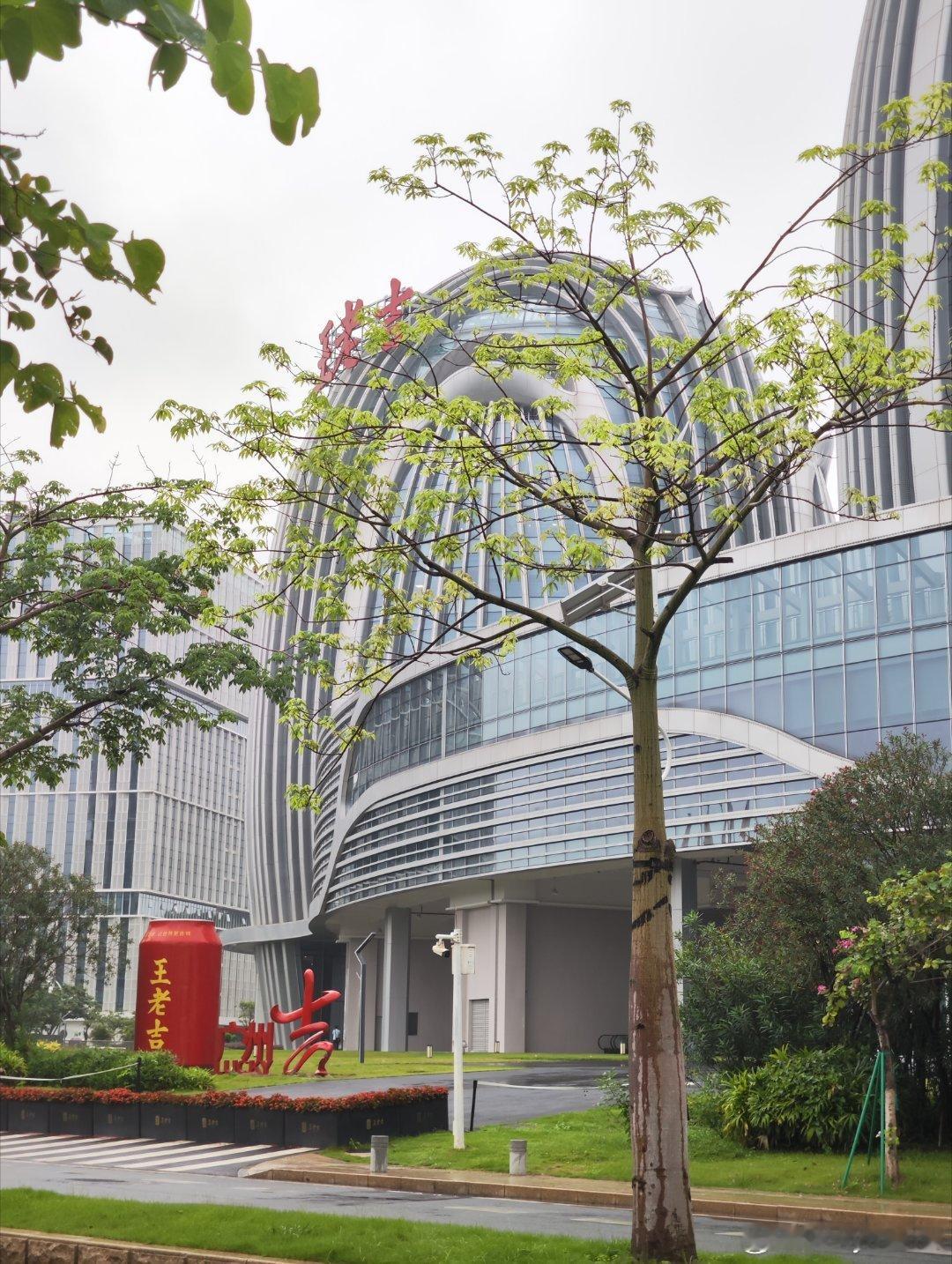 官洲站出来跳上了一部无人驾驶小巴，但小巴不去香岚官洲酒店，下车后沿江边往酒店方向