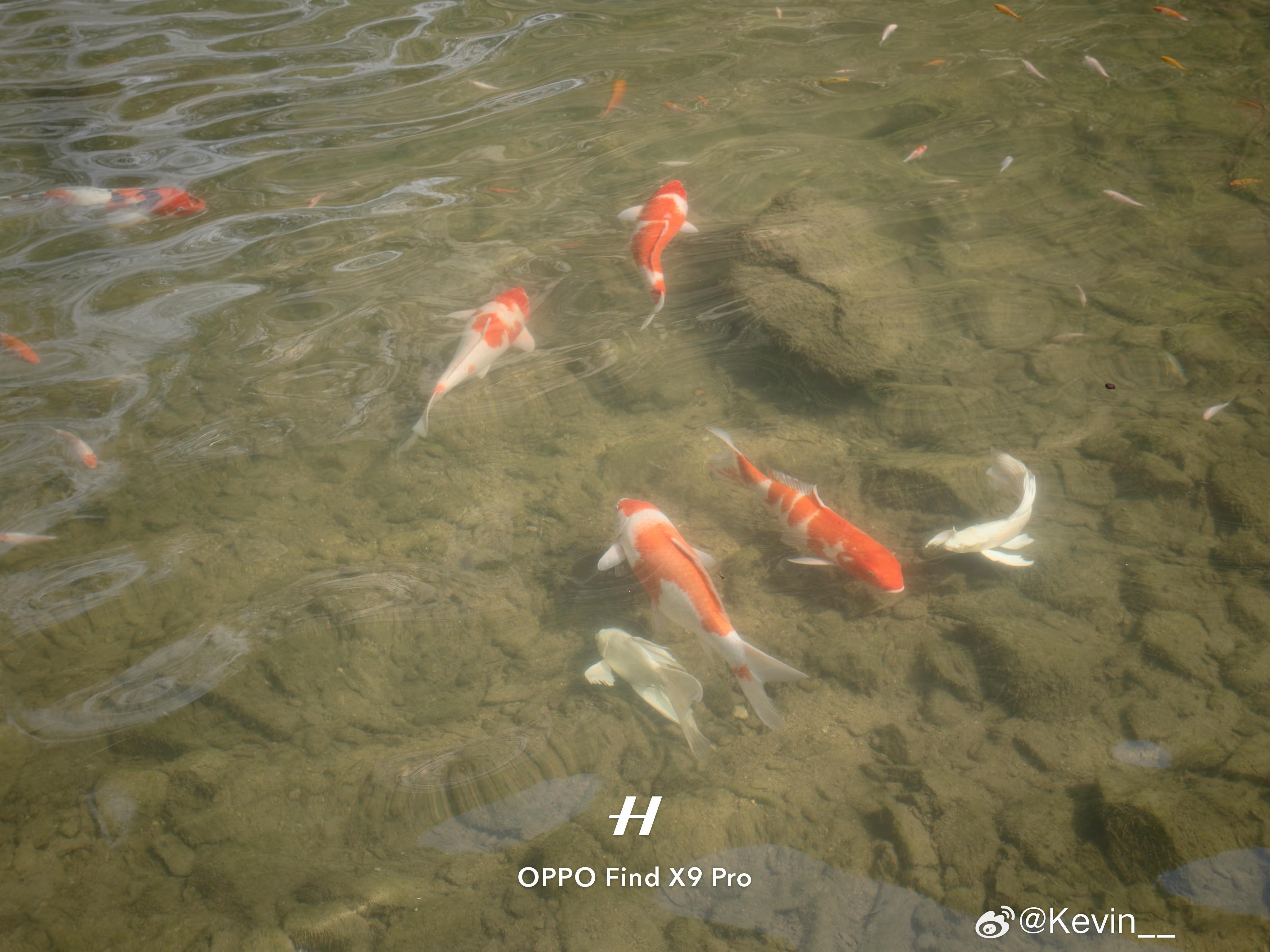 风景真不错 余姚·浙东小九寨沟景区