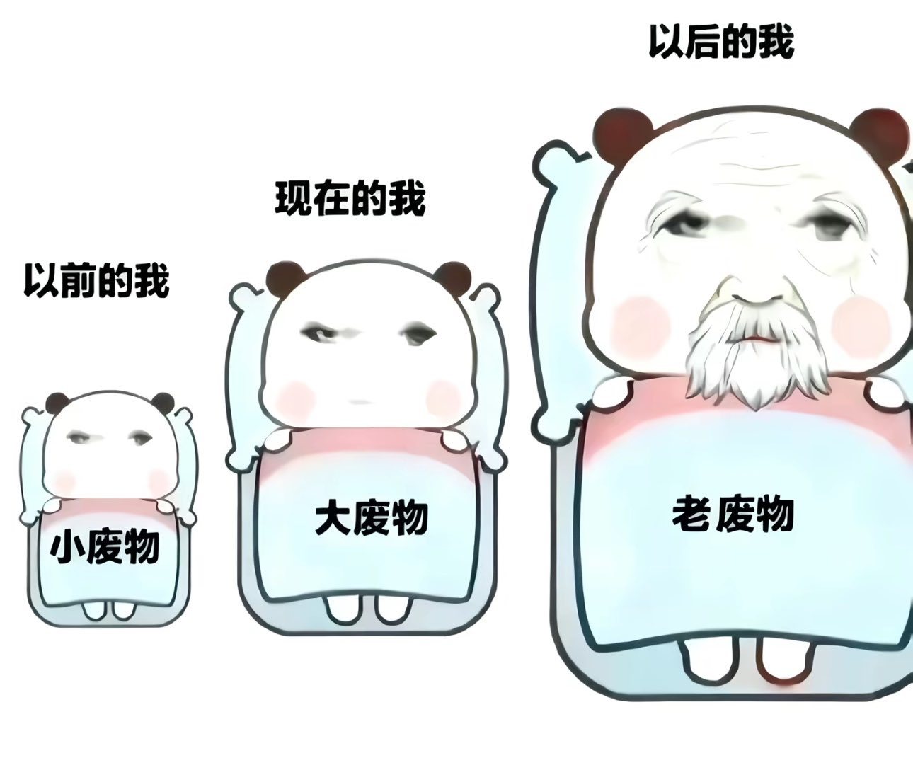 这是我的进化史