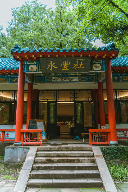 永丰诗社，梧桐大道尽头的安静之所