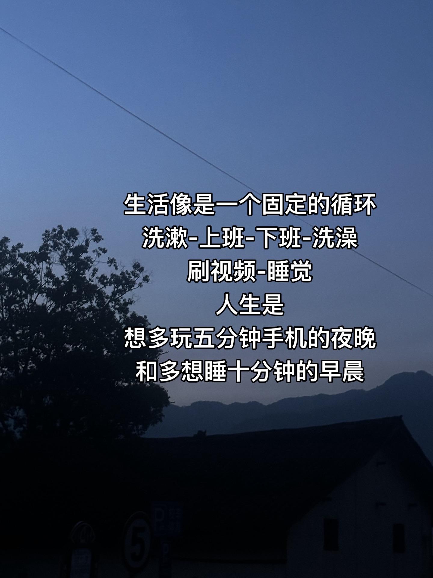 微薄的薪水和五险一金 只需一点金钱 就可以买断我的每一天.