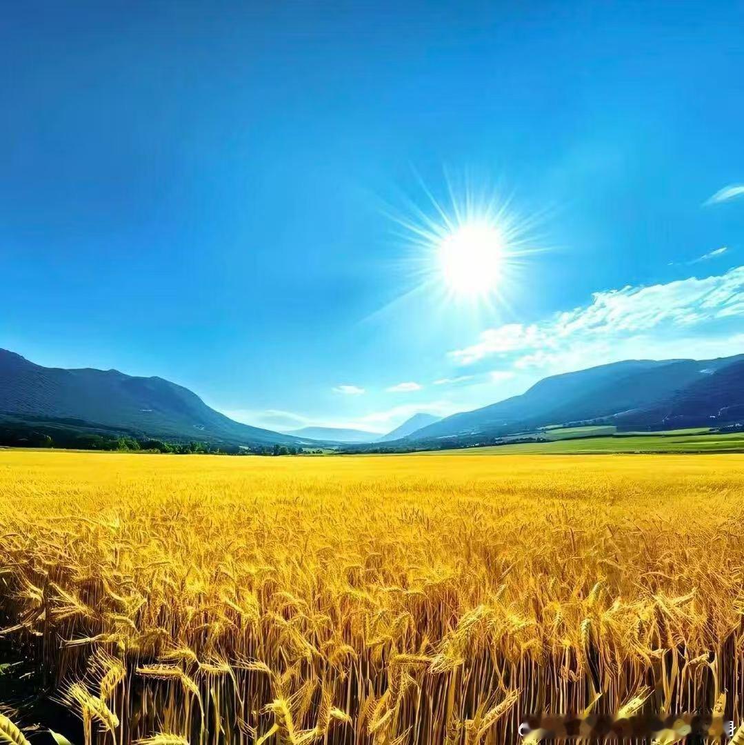 花有花期，人有节奏，不必羡慕别人的快，守住自己的时区，你的精彩，正在路上！早安正