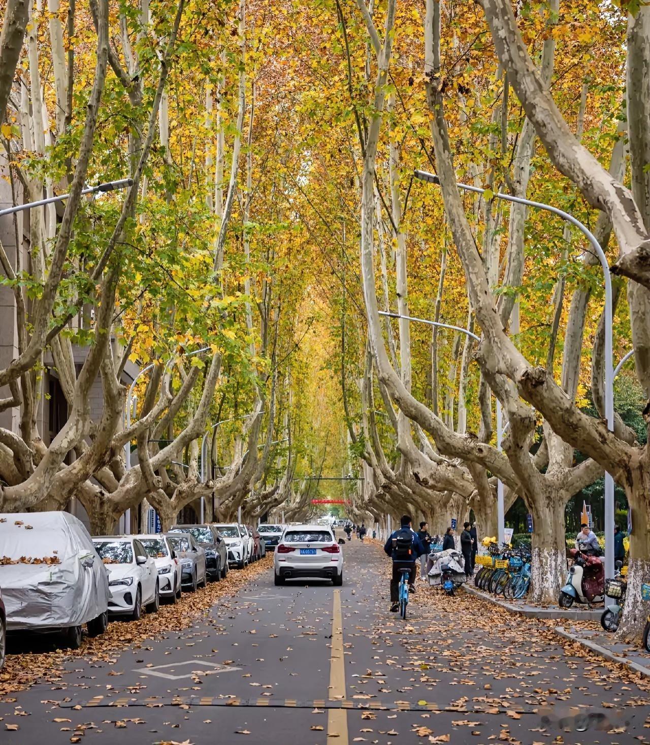 人这一辈子，
好像没什么惊天动地的意义。
小时候的无忧无虑，是藏在时光里的糖；
