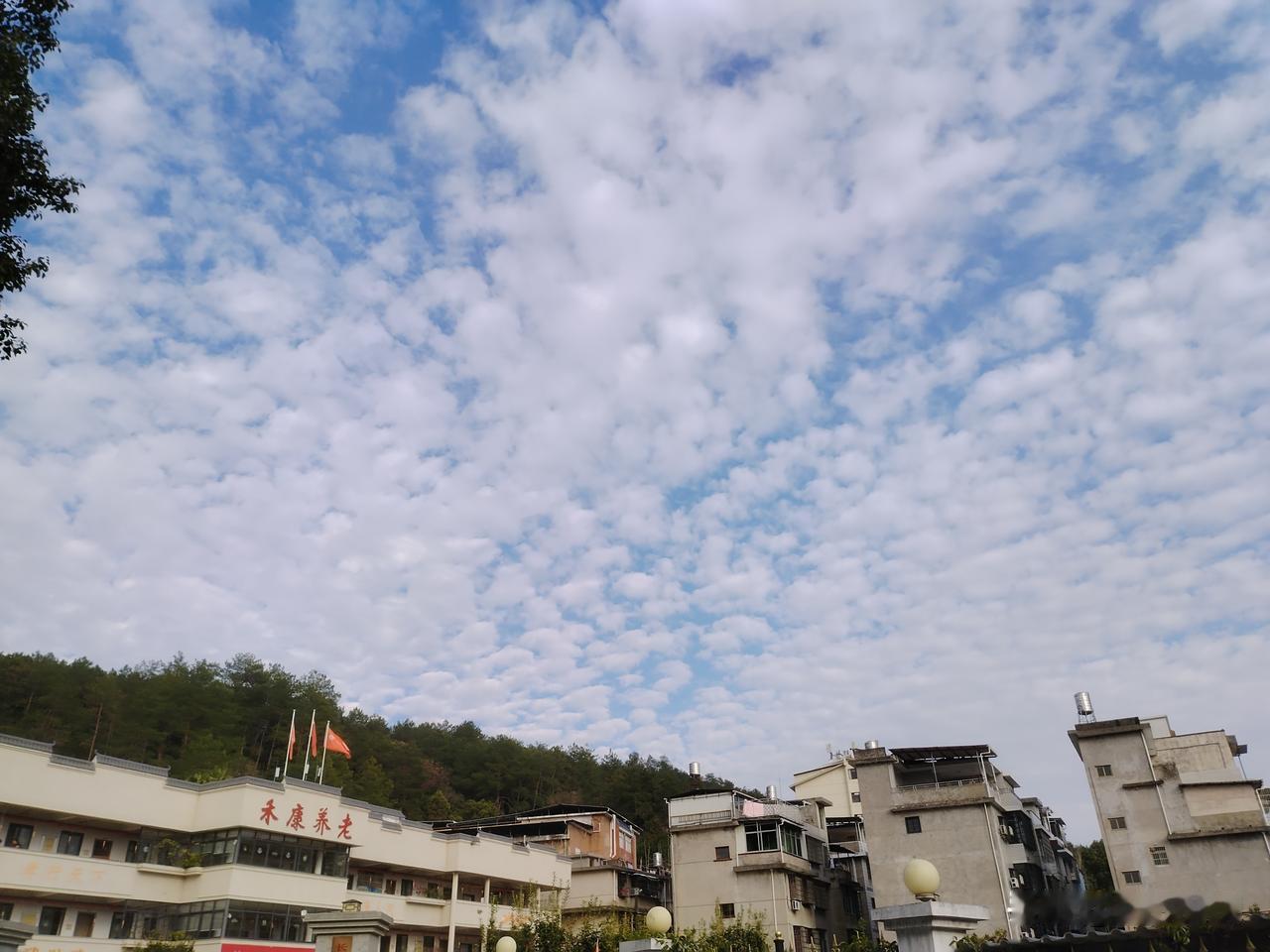 长汀是因汀江水运，突显出了它的重要性，才有了汀洲，长汀成为州府路郡的所在地。
