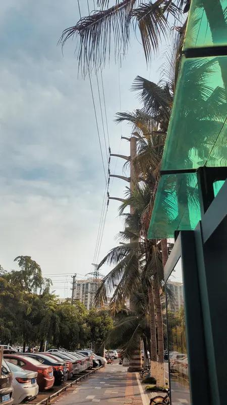 每日金句打卡签到真是个超棒的习惯！在信息泛滥的当下，金句就像夜空中的星星，珍贵又