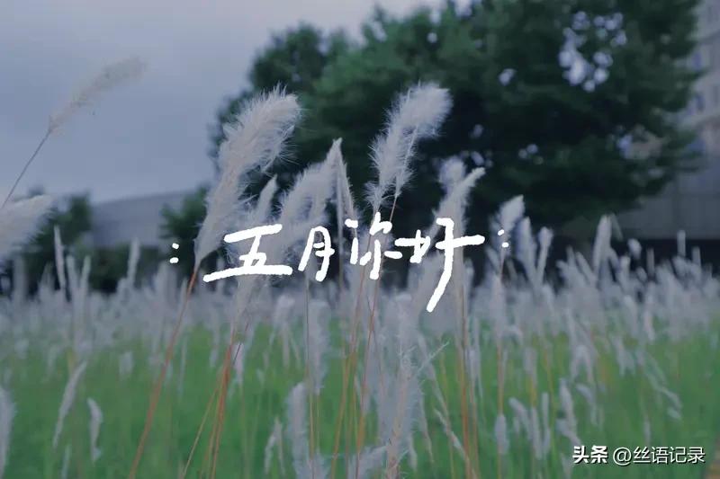 一声呼唤
我停了下来
有人喊我的名字
我赶紧转身
看到她
竟然还能喊出了她的名字