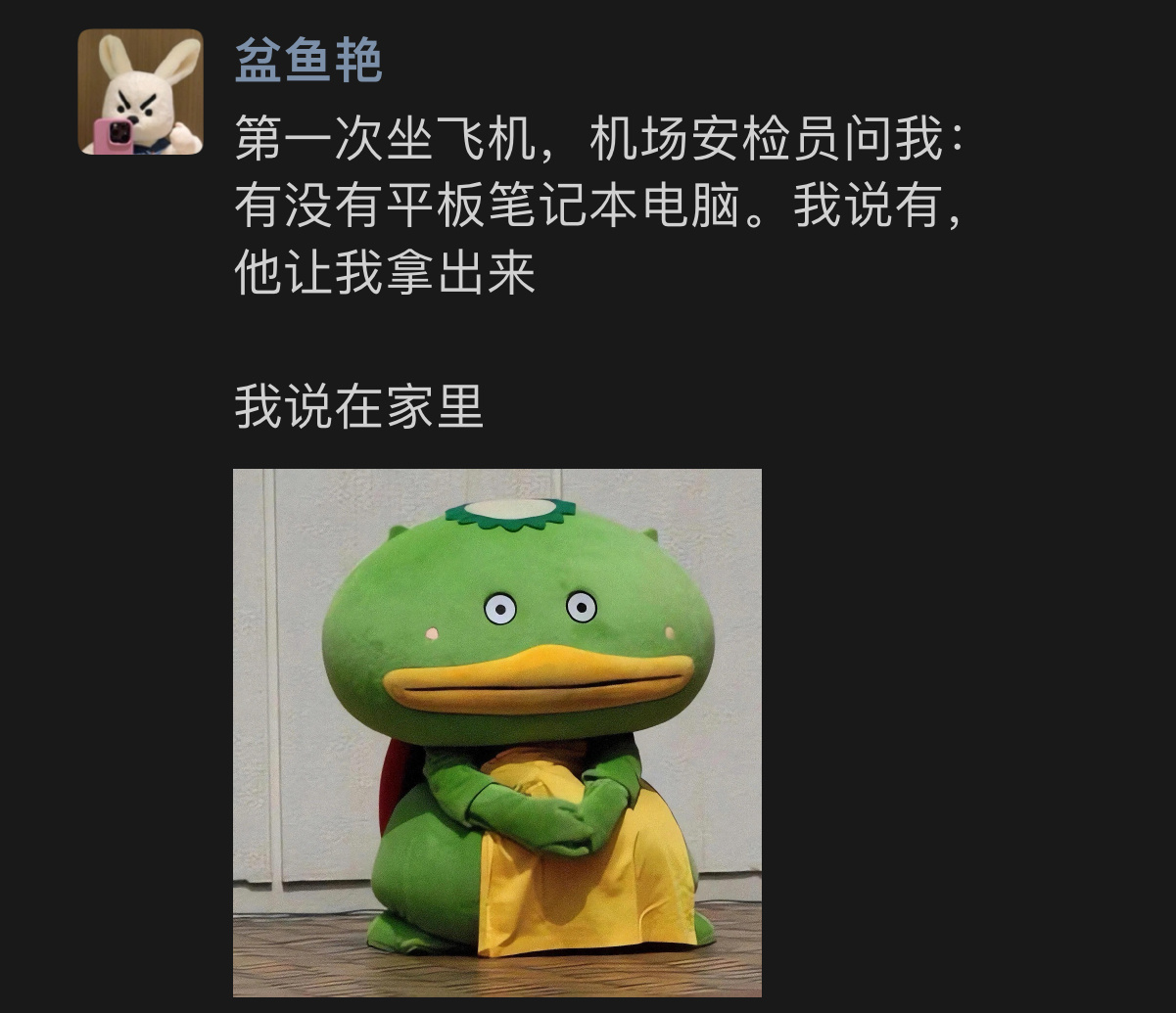 《当机场安检员问我有没有平板》春日放个疯 ​​​