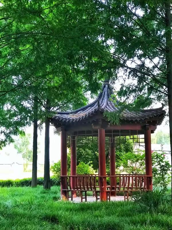 婚姻咨询师： “大多数夫妻要的从来不是灵魂的共鸣，而是被伴侣‘特殊对待’的优越感