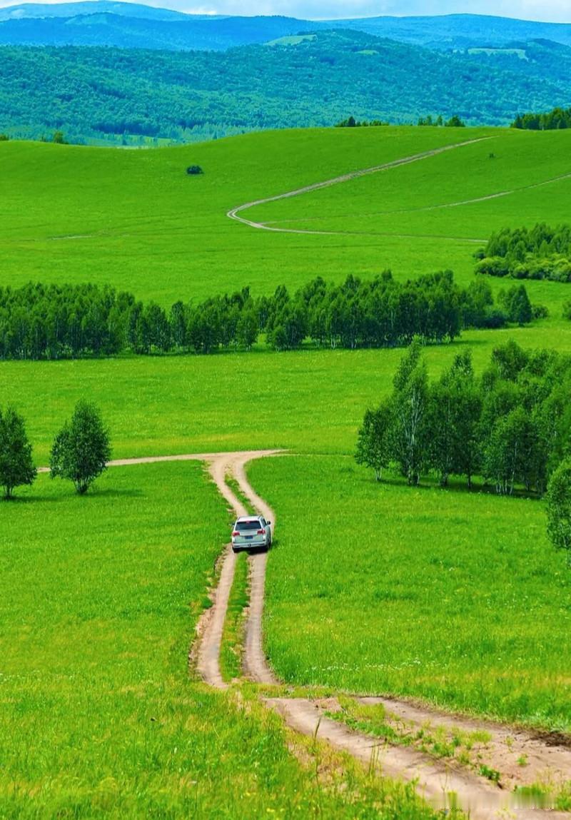 内蒙古草原各有韵味，综合颜值、原生态、名气，TOP 4 最美草原如下：
 
1.