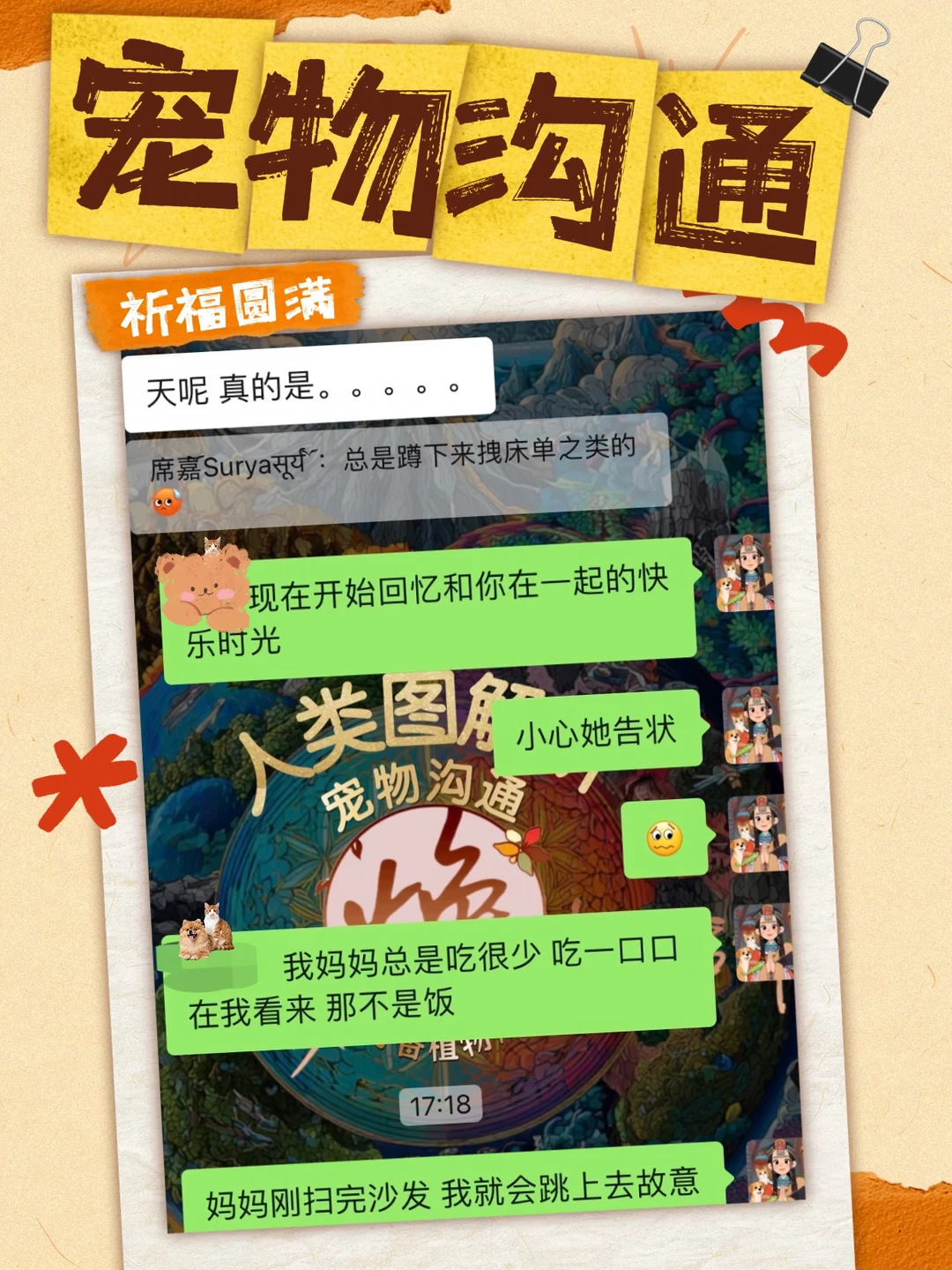 宠物沟通｜宠物真的非常非常聪明