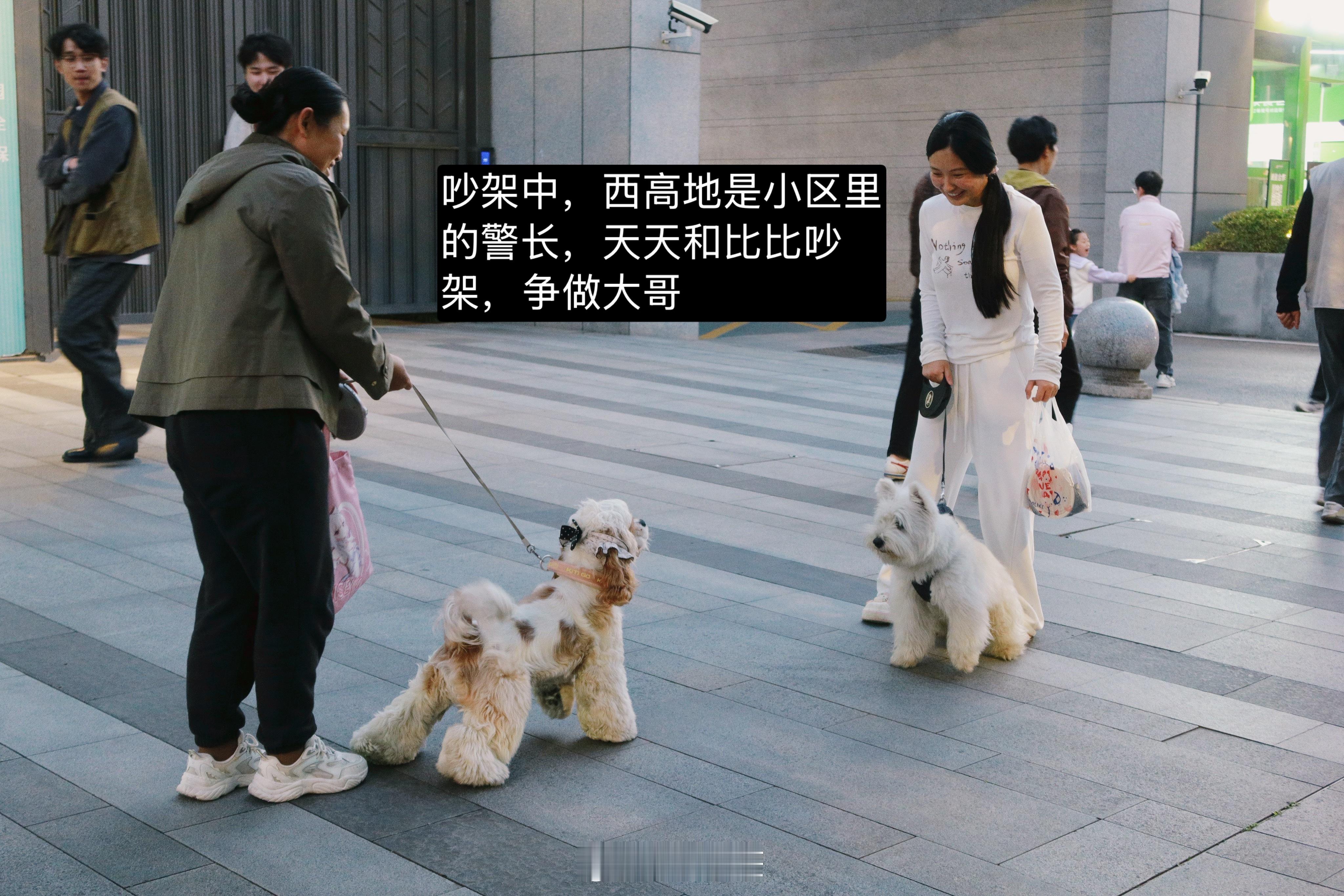 比图一组 