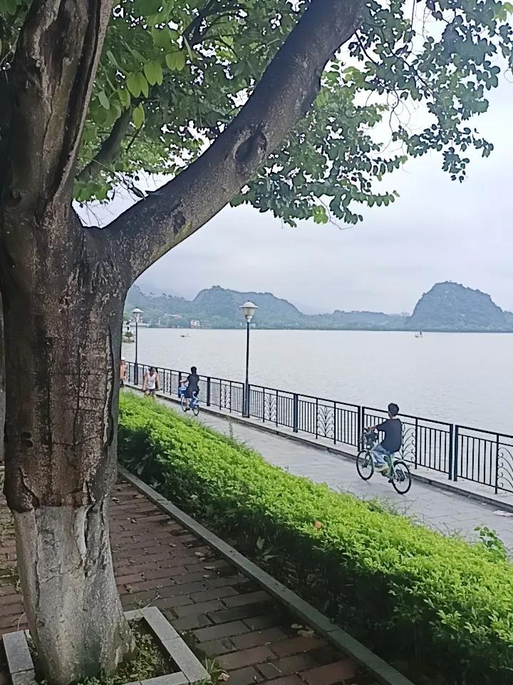 今天我在七星岩风景区
发现一个很严重的问题
但不知道怎么说才好





你敢相