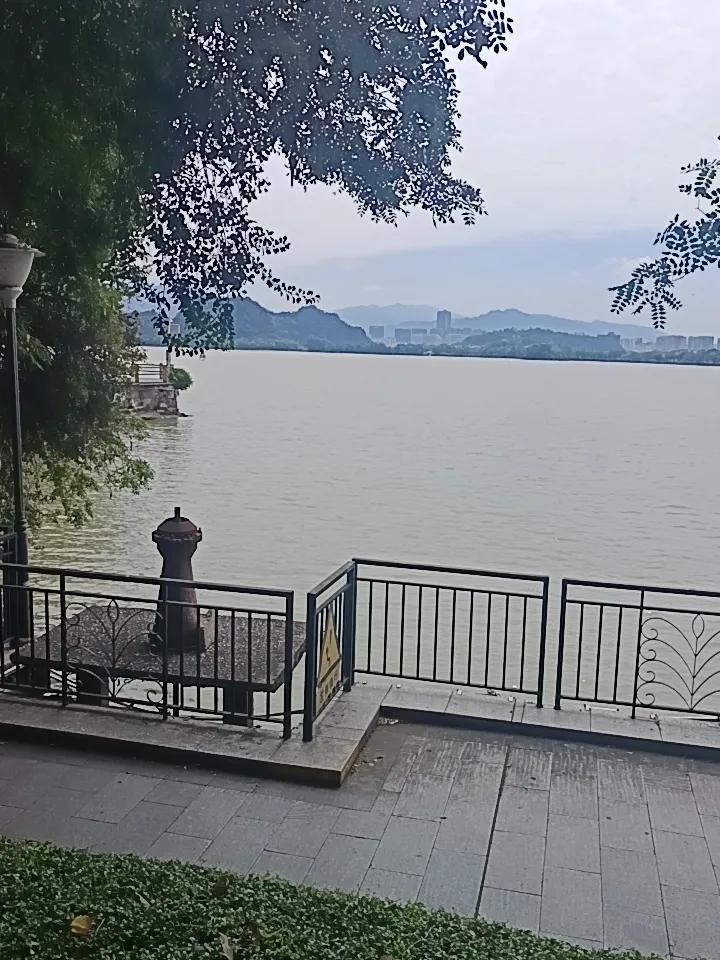 你敢相信吗？这里就是肇庆的星湖了，环境优美，空气清新，人烟稀少，是养老养生的好地