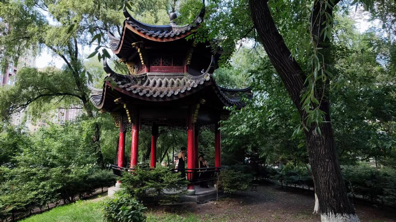 这篇文章能有这么高的阅读量，除了与我文章的选题有关外，还和我与条友互动有关。我从