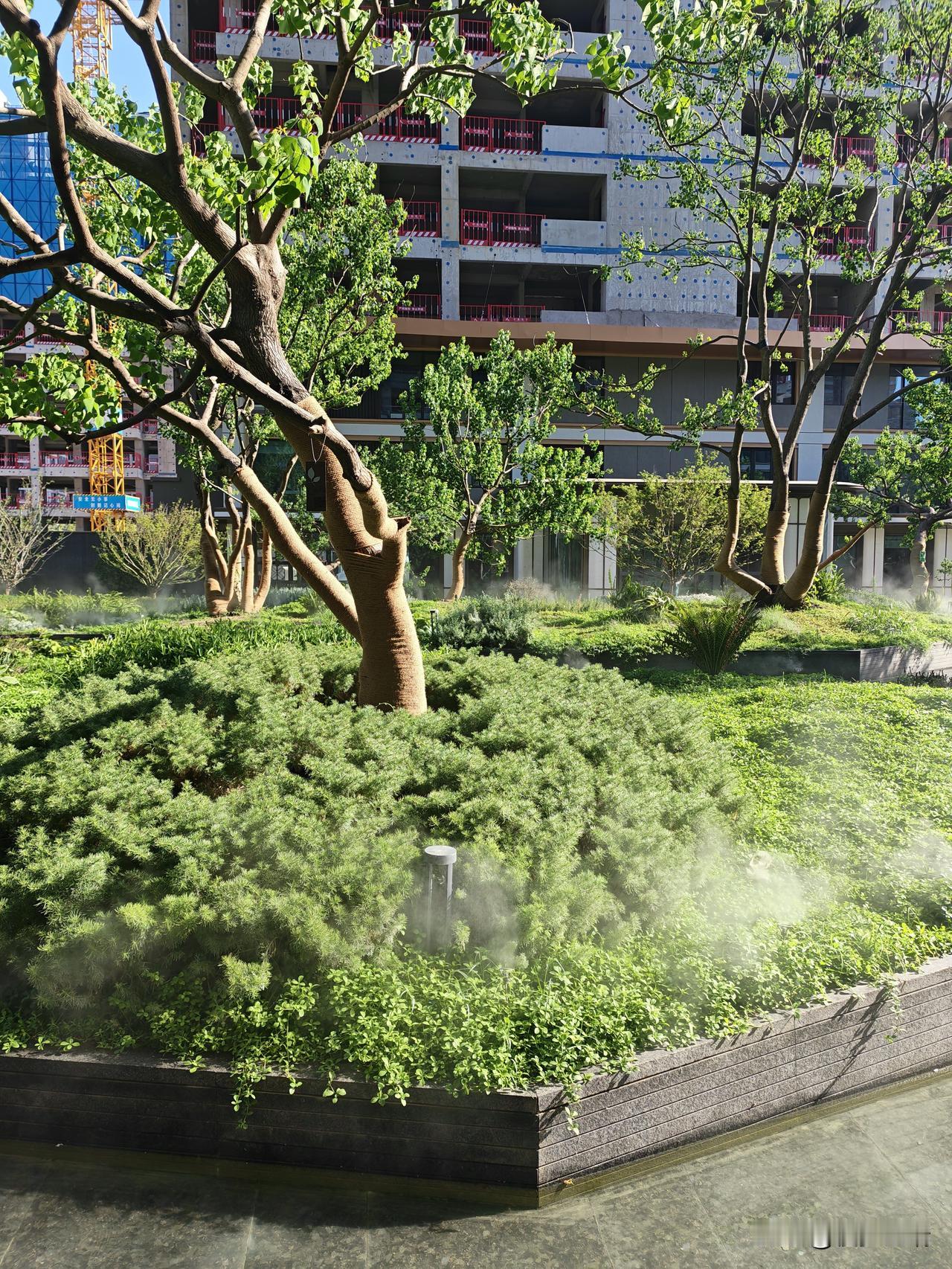 都市里的自然秘境
 
在城市钢筋水泥的缝隙里，这片社区园林藏着独一份的温柔生机。