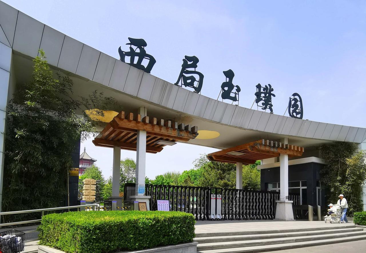漫步西局玉璞公园
遍布京城的社区公园，是北京城市建设的暖心底色。大大小小的园林散