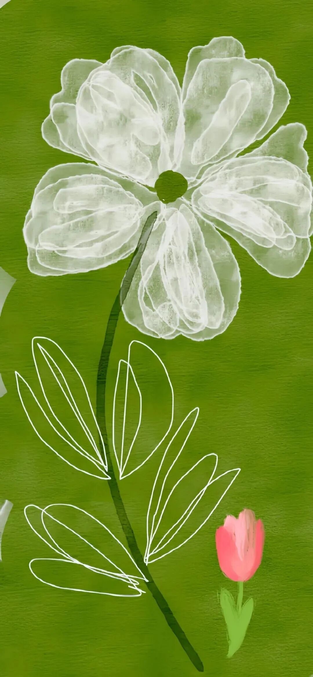 全屏手机壁纸丨聊天背景图丨插画系手机壁纸 