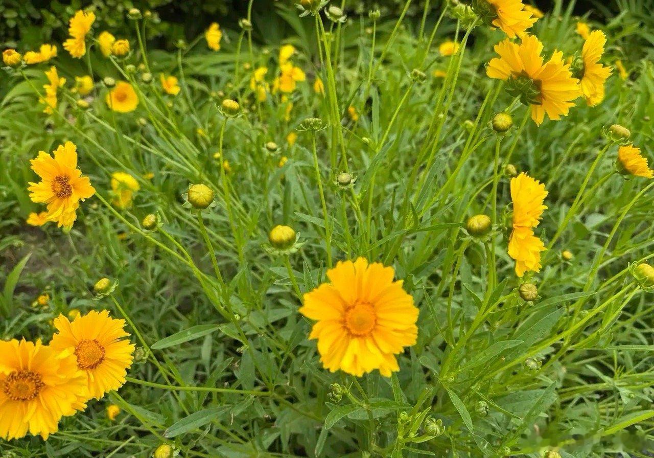 快讯：千岸科技和维琪科技获准注册6月18日，千岸科技和维琪科技同日获准注册，拿到