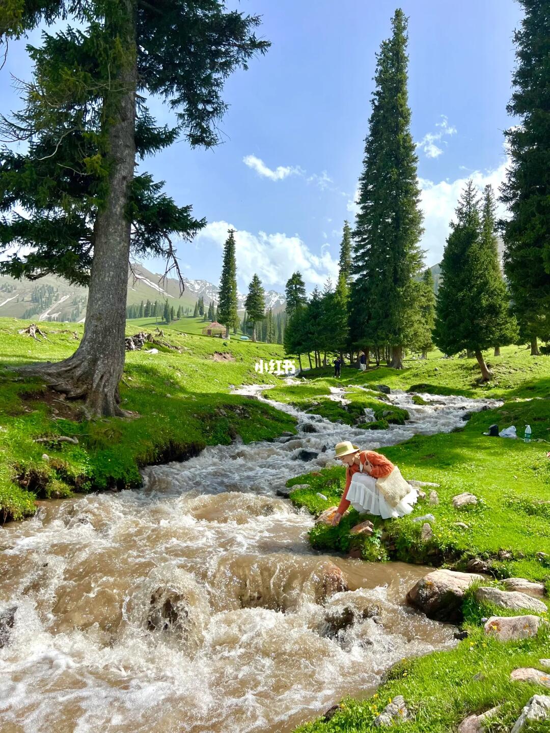 五月的新疆，是梦中的那片草原🌊