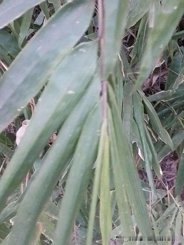 我来试试下联：一床二个人三四卷纸乱七八糟！