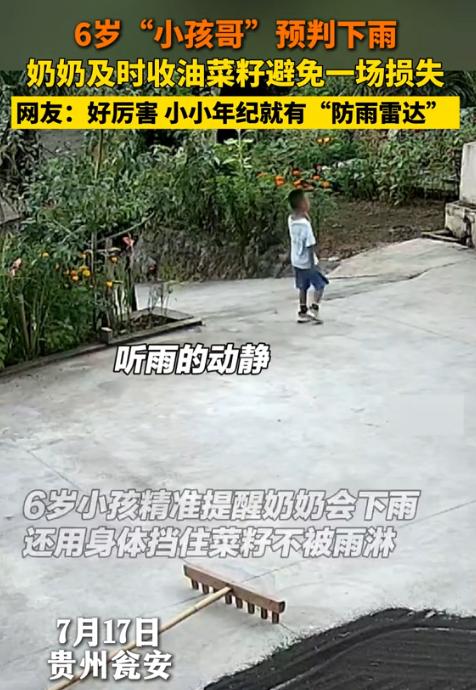贵州，一个6岁小男孩在自家院子里溜达，突然他对奶奶说马上要下雨了，奶奶说大晴天的