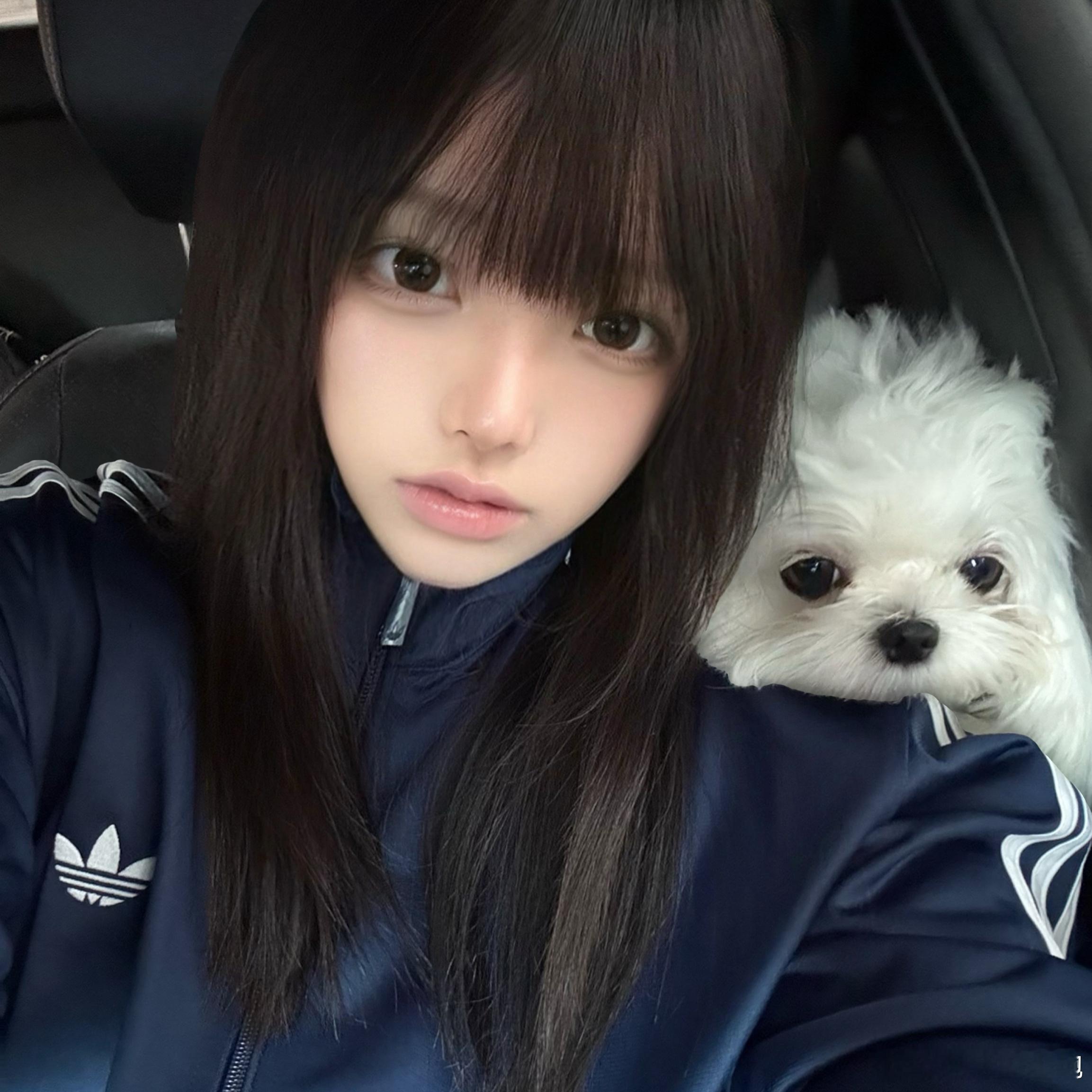 [便便] ​​​
