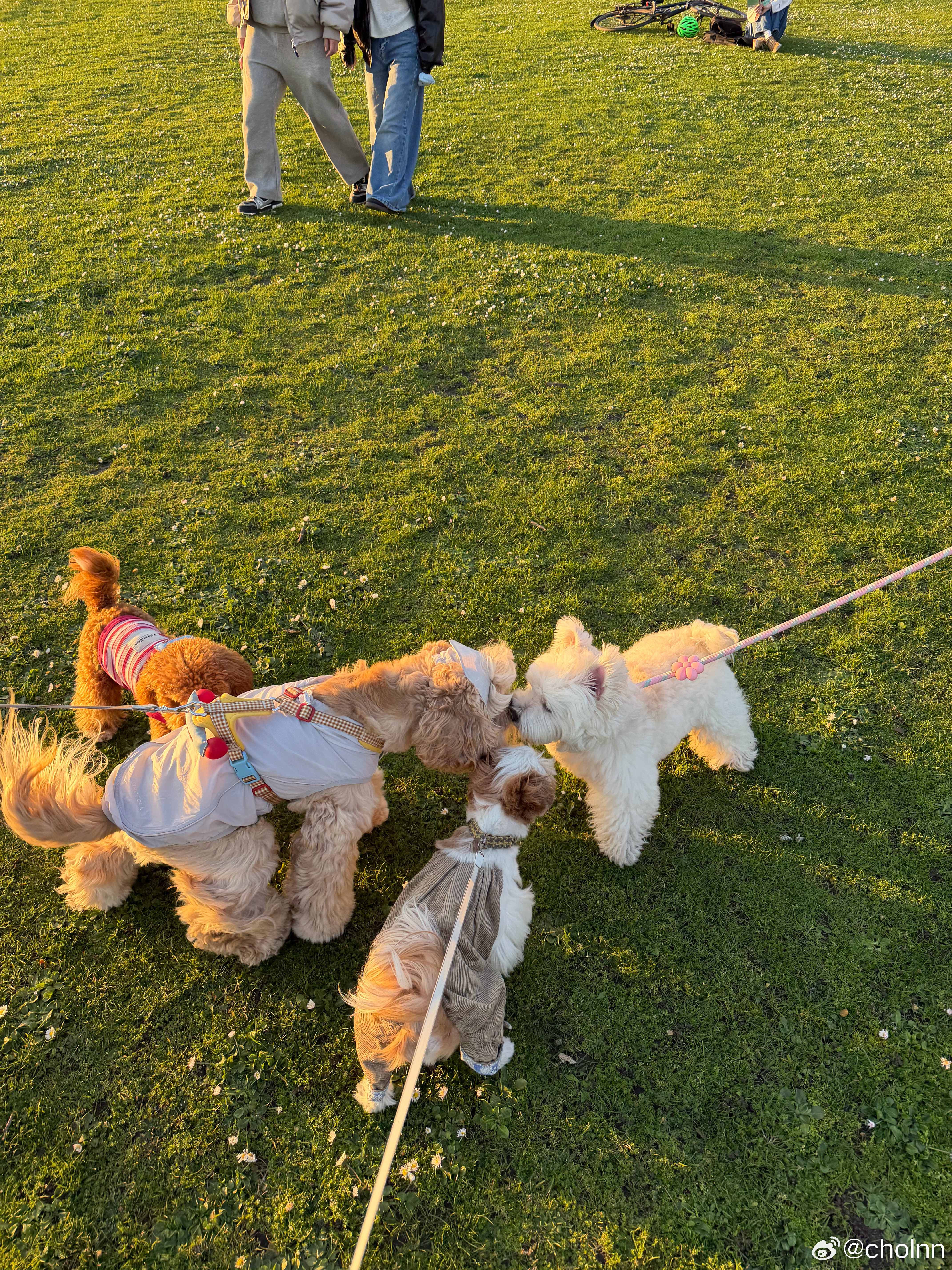 好日子 英国·Hyde Park