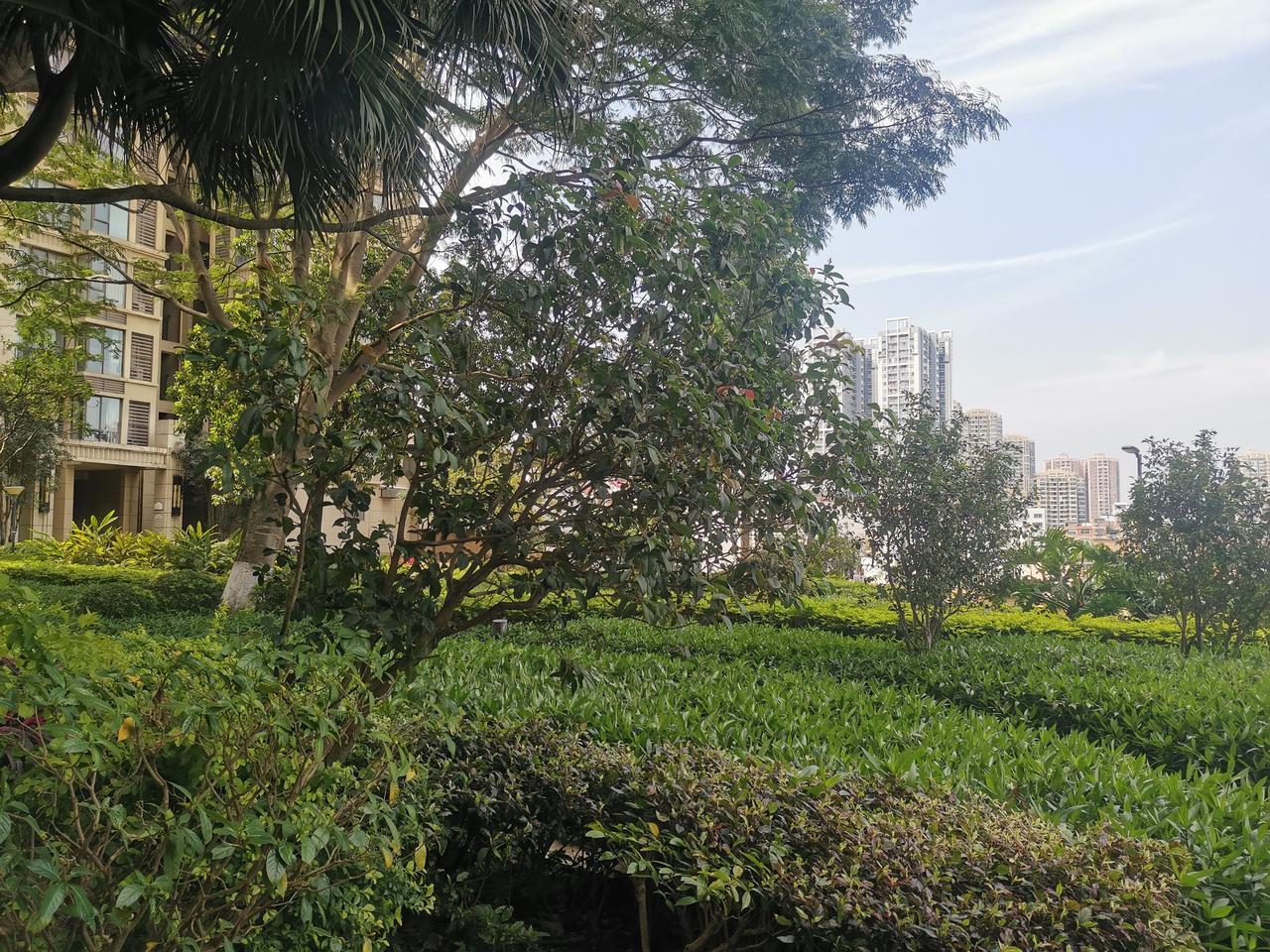 95后女生月花1.2万送狗上学！网友吵翻：是爱还是溺爱？
 
最近“95后女生月