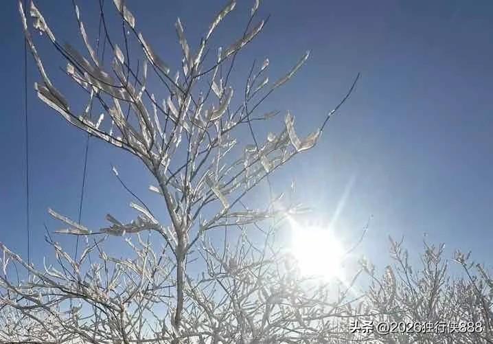 一位执业药师的悲哀就是你的专业知识说服了顾客，但你的身份能被顾客一句话闷死！
