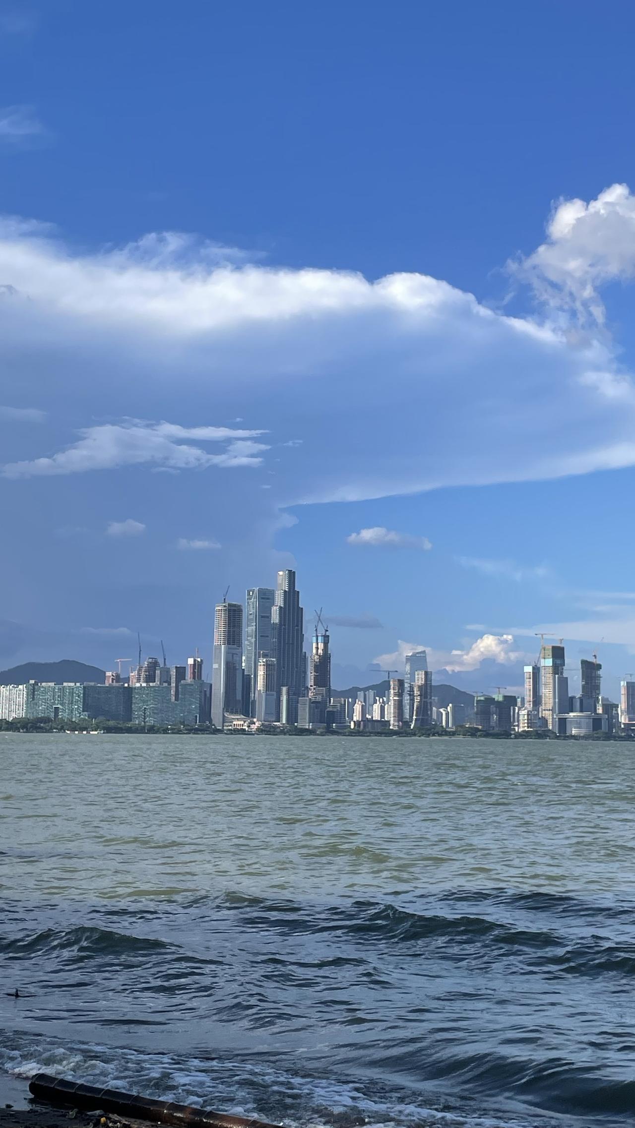 周末被骗过来看海
深圳湾公园
一开始看网上说有沙滩
小孩子专门带了铲子、沙桶
停