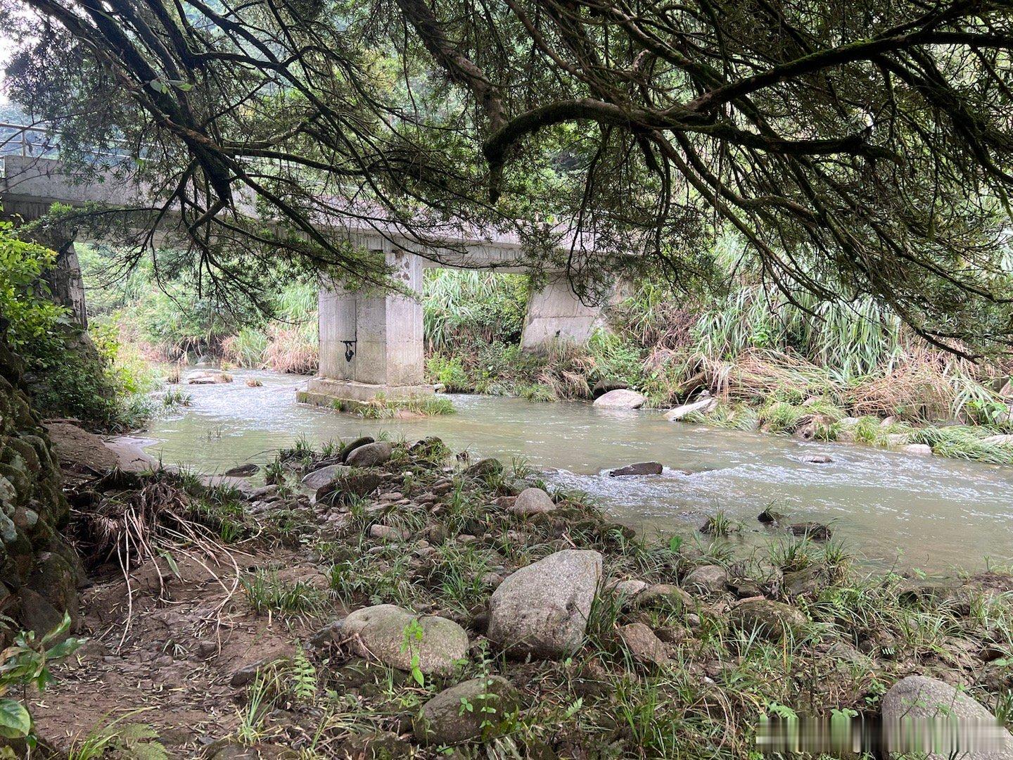 发现一个溯溪纳凉的好去处，离家里大概3公里左右[喵喵][喵喵][喵喵] ​​​