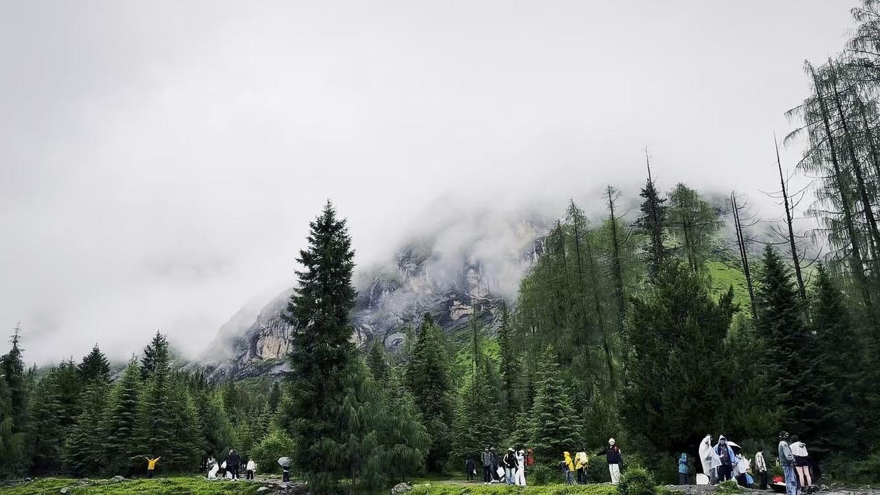 🌄站在山巅上，当云雾漫过肩头，世界仿佛只剩下自己与青山同呼吸。风掠过耳畔时，所
