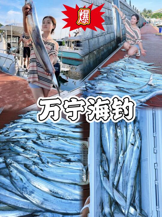 钓鱼钓的有点疯……