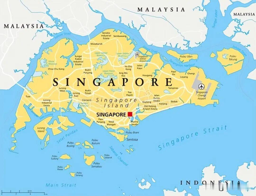 新加坡在“印加坡”问题上高度敏感，本质是小国生存焦虑，族群结构失衡，地缘安全依赖