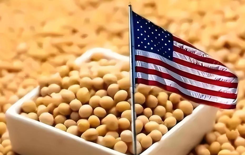 10月29日中国确认采购三船近18万吨美国大豆的消息刚公布，不到一天特朗普就公开