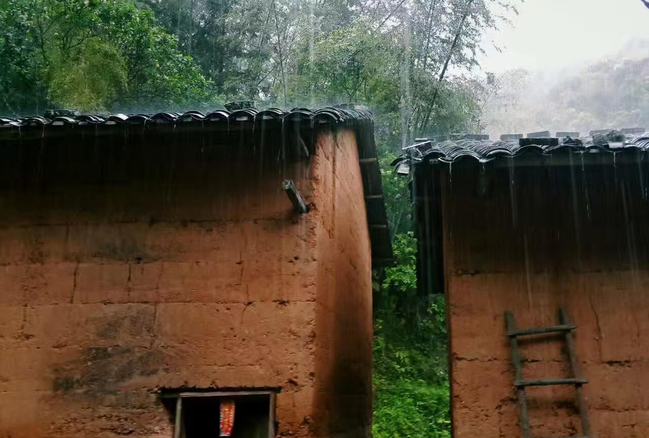 当年父亲因病去世时，母亲带着我和妹妹无家可住，舅舅就把老家房子借给我们住，谁知去