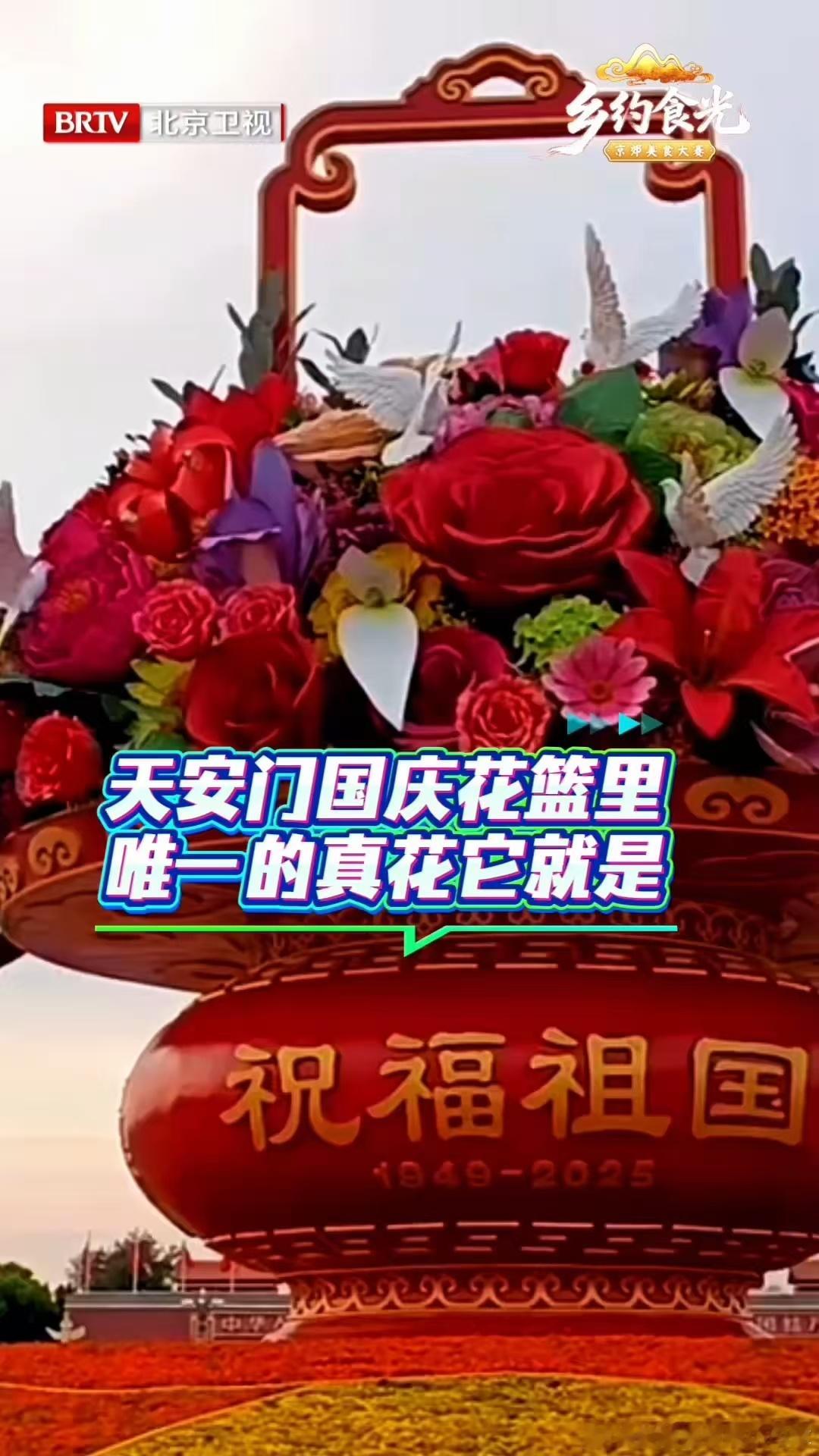 翟子路戴了天安门同款三角梅翟子路手腕缠满天安门同款，这才是把春天焊在身上的正确打