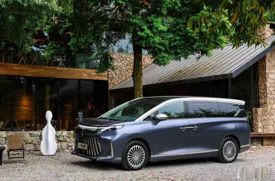 虽然现在MPV赛道已经卷成白热化了，但是姗姗来迟的极狐，我觉得还是有不少机会的。