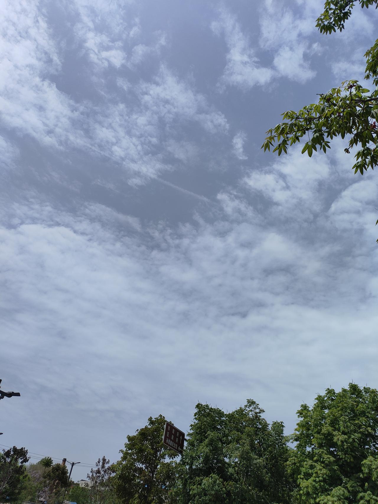 抬头撞见春日的天空，云絮轻轻铺在浅蓝的底色上，像揉碎的棉絮，又软又轻。树影在风里