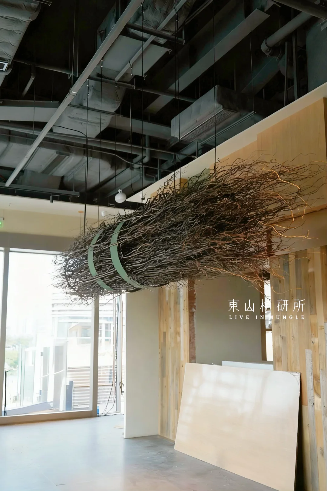 植物装置｜野性与硬朗 大型树枝悬挂装置