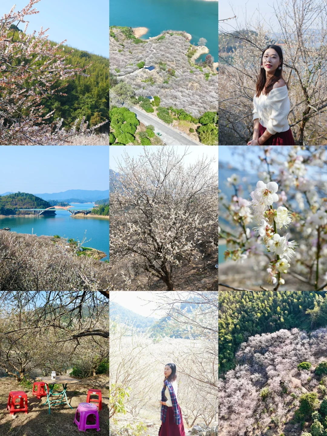 广州周边游丨从化流溪香雪1.16实拍（附路线