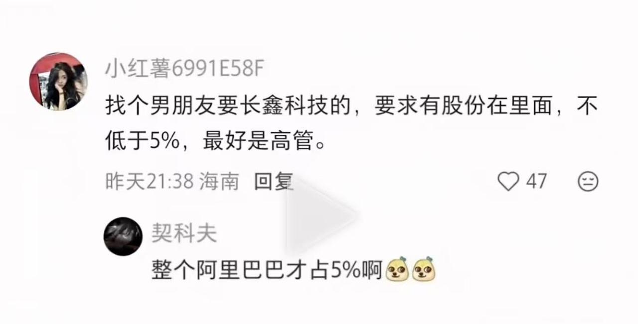 这人是真敢想啊！长鑫科技 5% 的股份，那可就是妥妥的 2000 亿。人民币，2