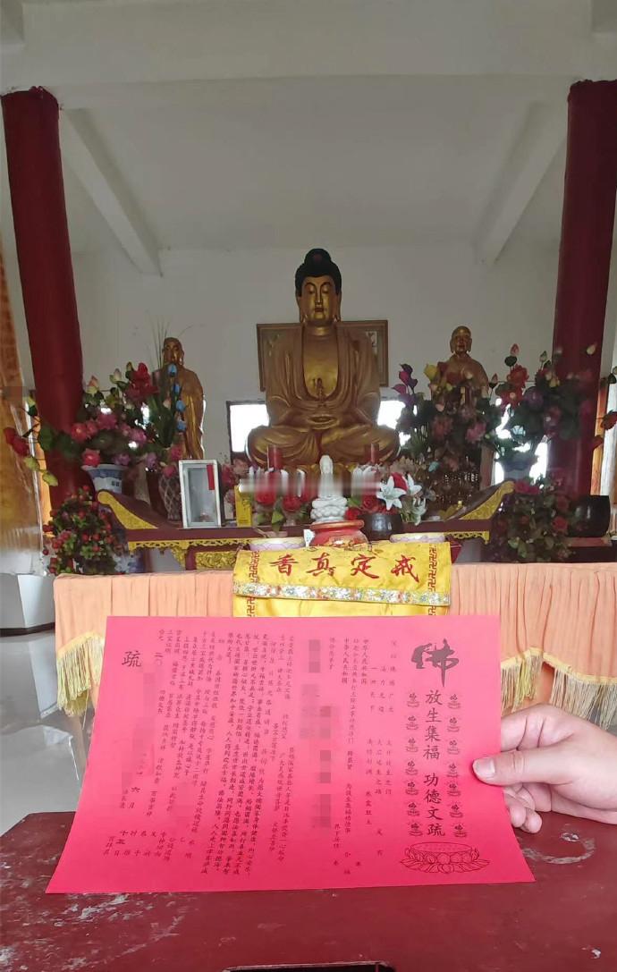 后天七月初一，天地开明，福气倍增。 放生功德回向旧疾渐安，家道亦顺，慈心所感，佛