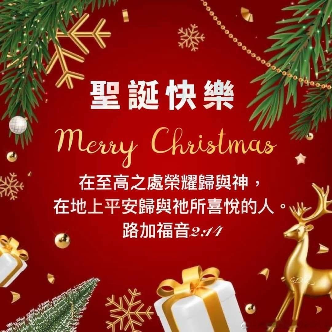 🎄Merry Christmas🎅🏻祝大家聖誕快樂🐶圣诞节圣诞快乐